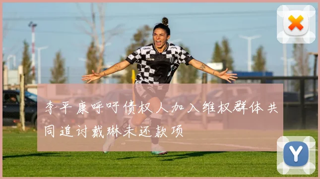 李平康呼吁债权人加入维权群体共同追讨戴琳未还款项