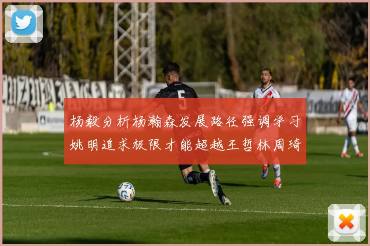 杨毅分析杨瀚森发展路径强调学习姚明追求极限才能超越王哲林周琦状态