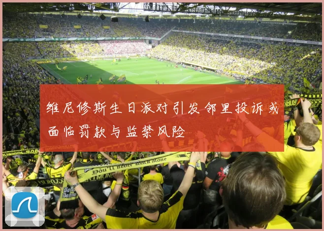 维尼修斯生日派对引发邻里投诉或面临罚款与监禁风险