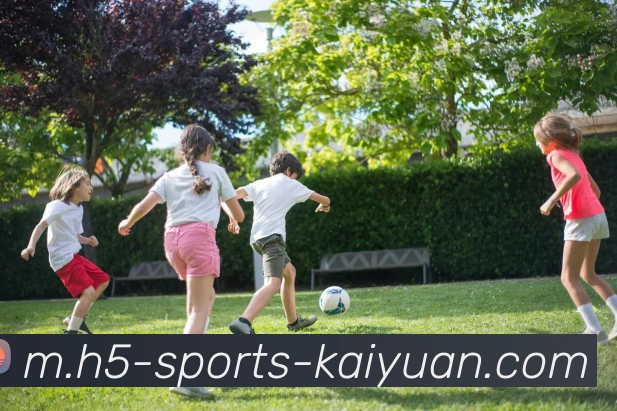 开元体育服务体系